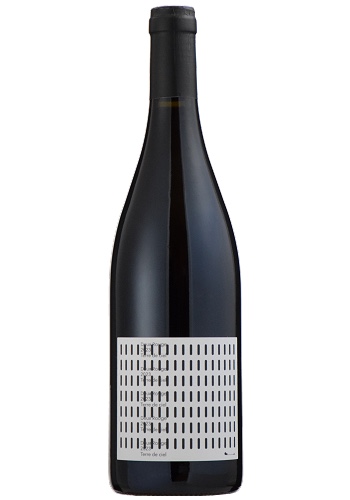 Raisin Rosé 2025